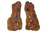 Stunning Yowah Matrix Boulder Opal Pair - Australia #381721-1